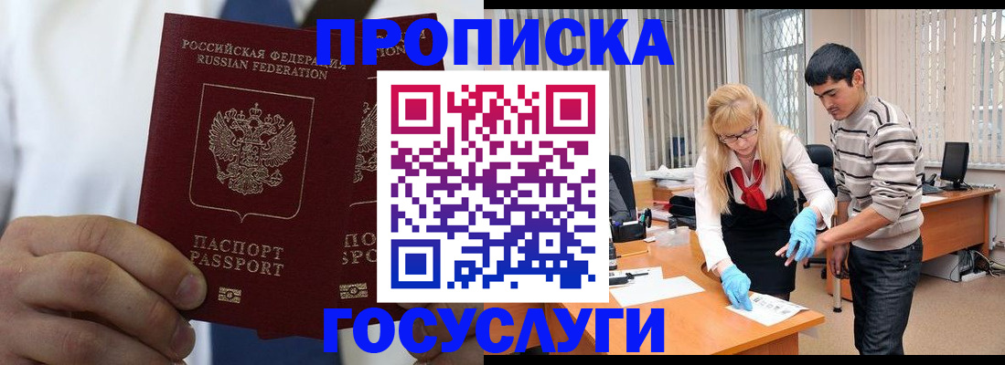 помощь с регистрацией иностранного гражданина в Сольцах